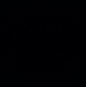 Meet your Posher, Estella